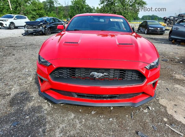 1FA6P8TH2K5108685 2019 FORD MUSTANG Красный Вид спереди