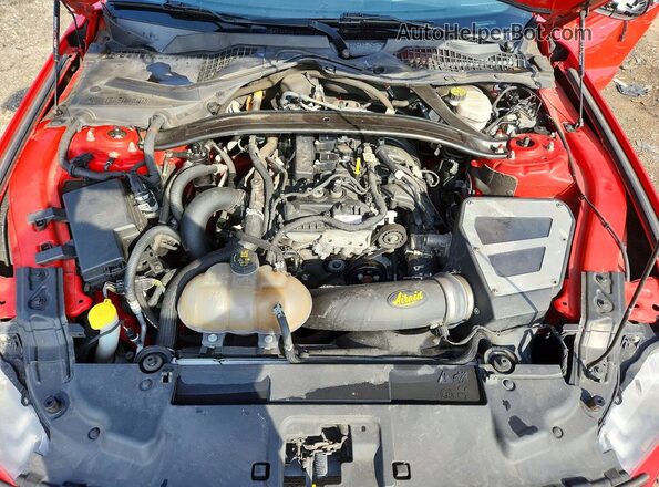 1FA6P8TH2K5108685 2019 FORD MUSTANG Красный Вид задней части салона
