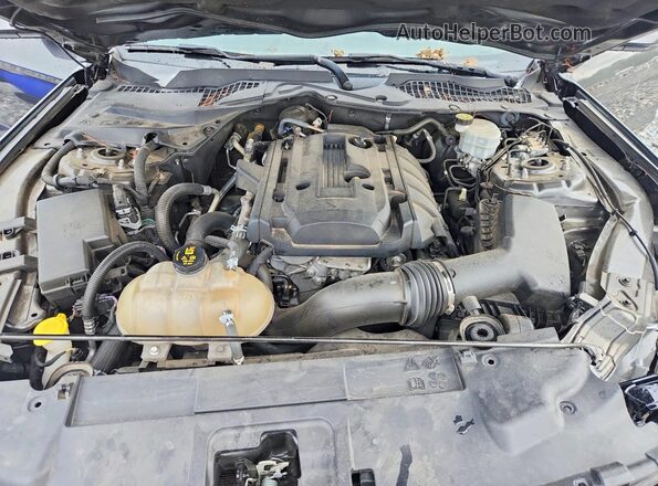 1FA6P8TH2L5103827 2020 FORD MUSTANG Серый Вид задней части салона