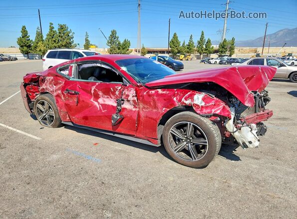 1FA6P8TH2R5117462 2024 FORD MUSTANG Red Передня права чверть