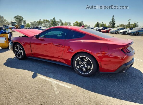 1FA6P8TH2R5117462 2024 FORD MUSTANG Red Задня ліва чверть