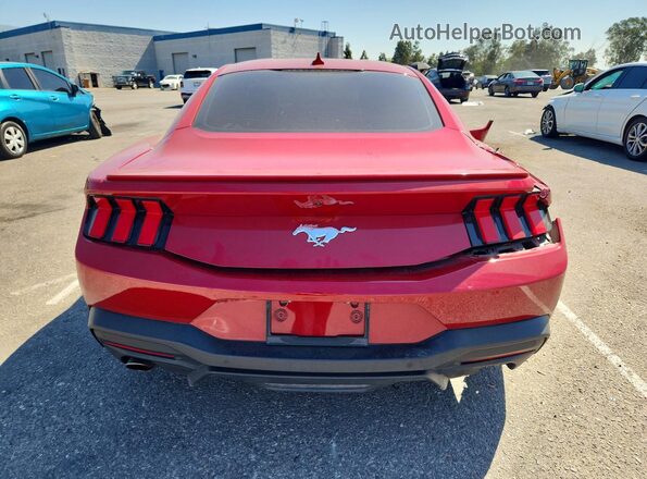 1FA6P8TH2R5117462 2024 FORD MUSTANG Red Вид ззаду