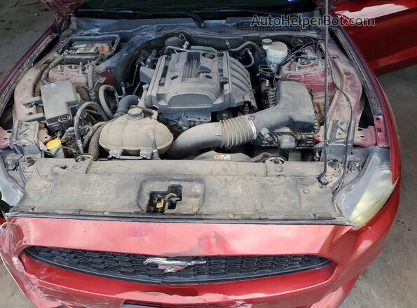 1FA6P8TH3G5206177 2016 FORD MUSTANG Burgundy Вид задньої частини салону