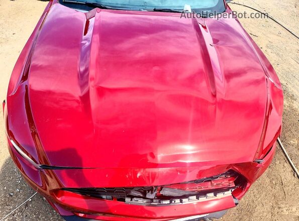 1FA6P8TH3G5288721 2016 FORD MUSTANG Burgundy Вид задньої частини салону