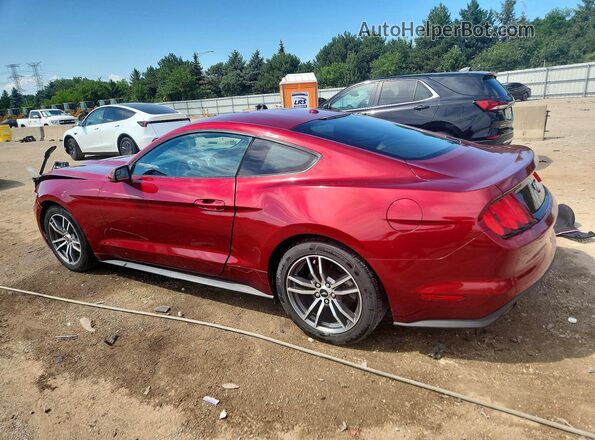 1FA6P8TH3G5288721 2016 FORD MUSTANG Burgundy Задня ліва чверть