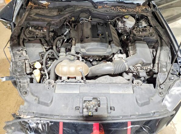 1FA6P8TH3K5116262 2019 FORD MUSTANG Black Vista interior trasera