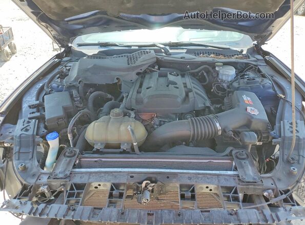 1FA6P8TH3L5183333 2020 FORD MUSTANG Blue უკანა სალონის ხედი