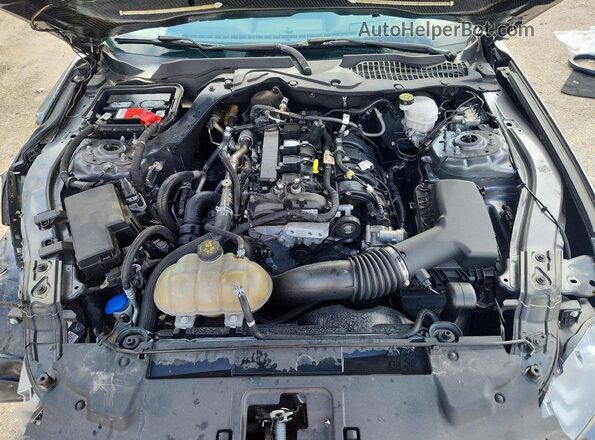 1FA6P8TH3M5110562 2021 FORD MUSTANG Gray Սալոնի հետևի տեսք