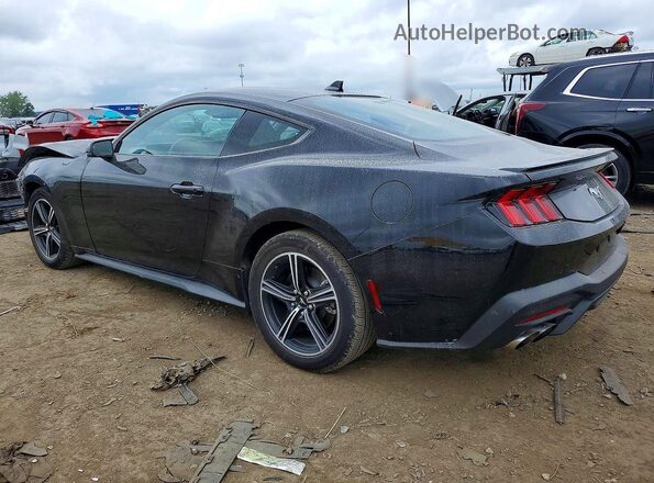1FA6P8TH3R5119365 2024 FORD MUSTANG Black Tył lewy