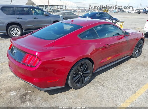 1FA6P8TH4G5261172 2016 FORD MUSTANG Red Trasero derecho