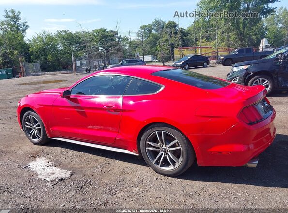 1FA6P8TH4H5246334 2017 FORD MUSTANG Red Widok wnętrza 360 stopni