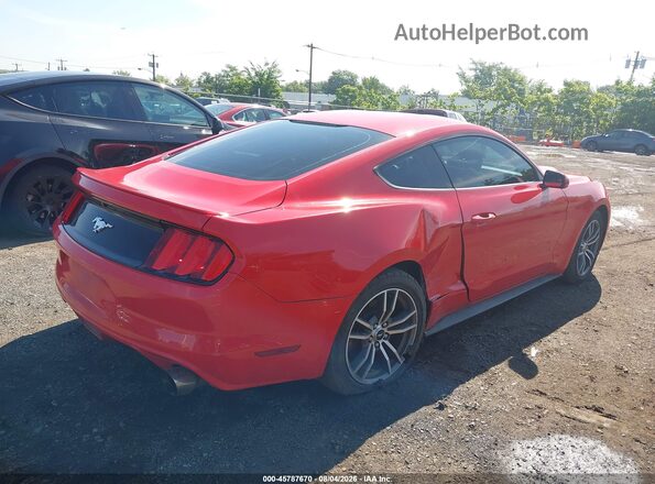 1FA6P8TH4H5246334 2017 FORD MUSTANG Red Tył prawy