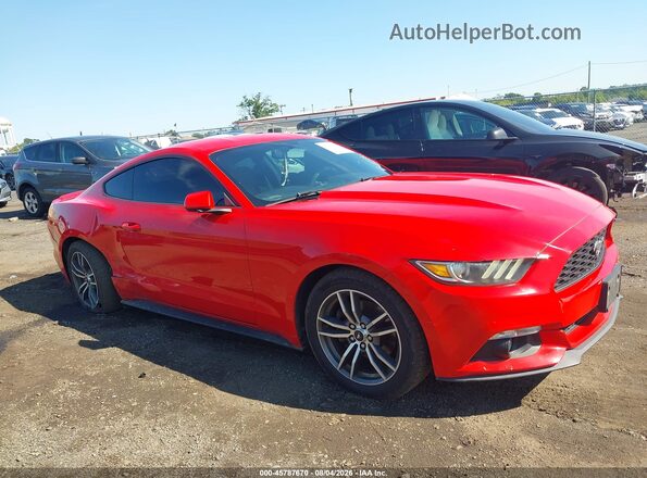 1FA6P8TH4H5246334 2017 FORD MUSTANG Red Widok wnętrza z tyłu