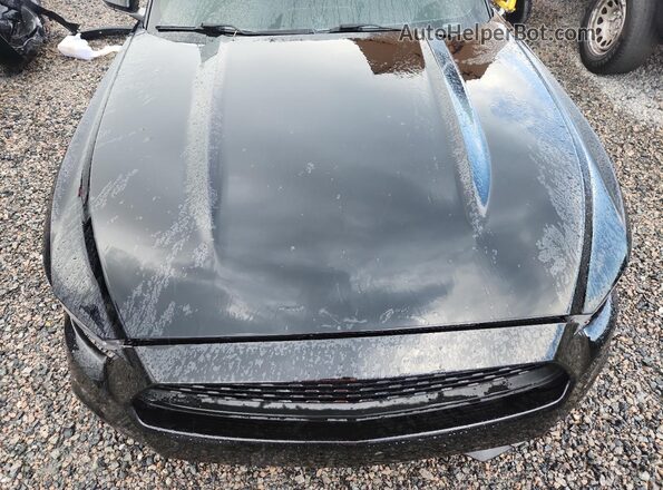 1FA6P8TH4H5310274 2017 FORD MUSTANG Черный Вид задней части салона