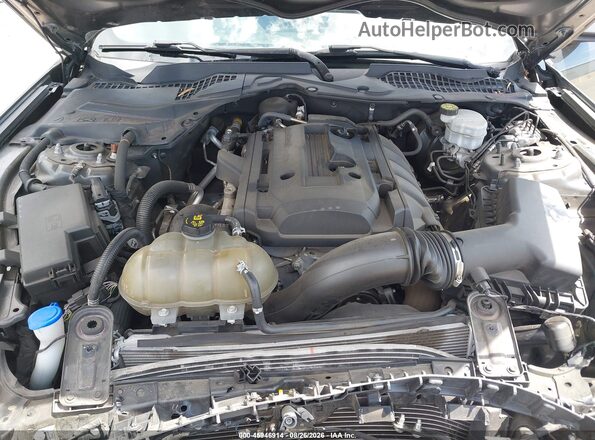 1FA6P8TH4L5186676 2020 FORD MUSTANG Gray Widok z tyłu