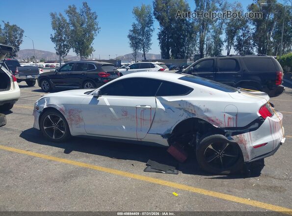 1FA6P8TH4P5101163 2023 FORD MUSTANG White Vista interior trasera