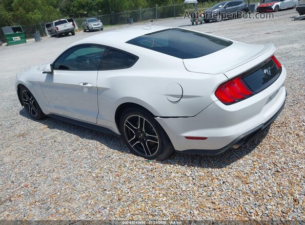 1FA6P8TH4P5110400 2023 FORD MUSTANG Белый Задняя левая четверть