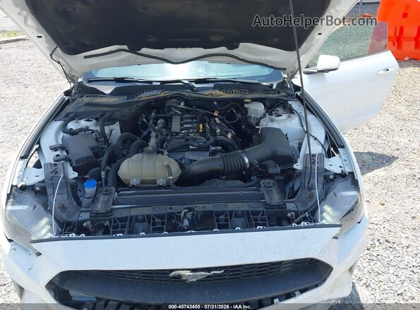 1FA6P8TH4P5110400 2023 FORD MUSTANG Белый Вид сзади