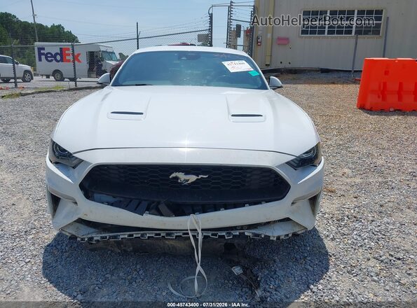 1FA6P8TH4P5110400 2023 FORD MUSTANG Белый Вид задней части салона