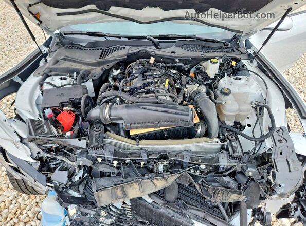 1FA6P8TH4S5104394 2025 FORD MUSTANG Белый Вид задней части салона