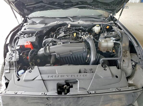 1FA6P8TH4S5109529 2025 FORD MUSTANG Gray უკანა სალონის ხედი
