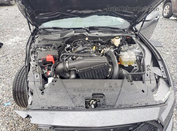 1FA6P8TH4T5109533 2026 FORD MUSTANG Gray Widok wnętrza z tyłu