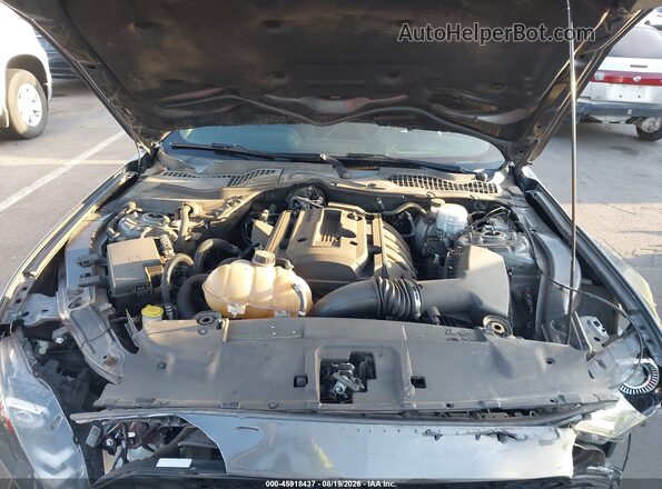 1FA6P8TH5K5169383 2019 FORD MUSTANG Серый Вид сзади