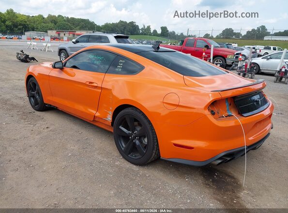 1FA6P8TH5M5111504 2021 FORD MUSTANG Orange Tył lewy