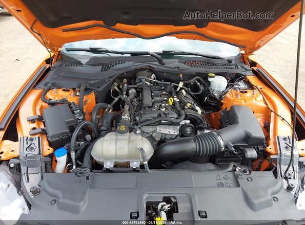 1FA6P8TH5M5111504 2021 FORD MUSTANG Orange Widok z tyłu