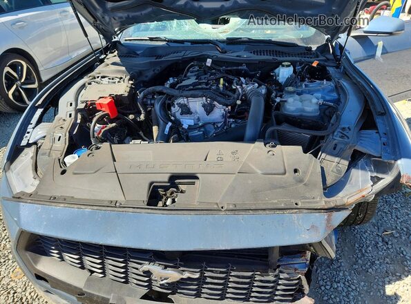 1FA6P8TH5R5108822 2024 FORD MUSTANG Blue Вид задньої частини салону