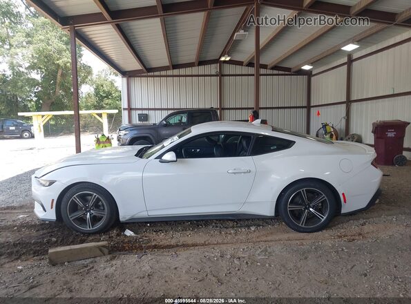 1FA6P8TH5R5124681 2024 FORD MUSTANG Белый Панорамный вид салона 360°