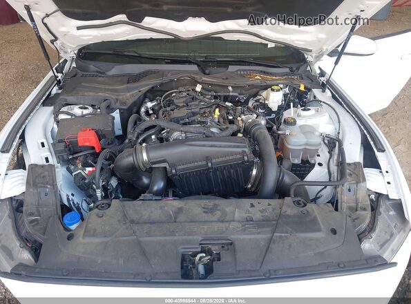1FA6P8TH5R5124681 2024 FORD MUSTANG Белый Вид сзади