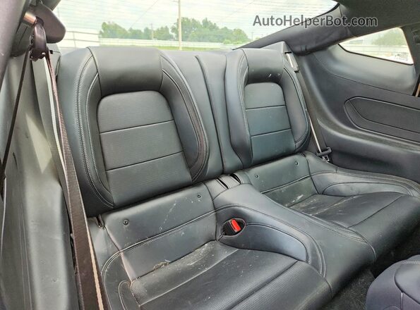 1FA6P8TH5R5135034 2024 FORD MUSTANG Blue უკანა სავარძლების ხედი