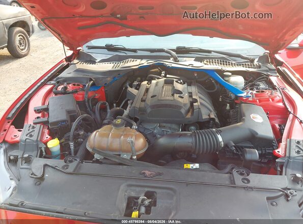 1FA6P8TH6G5252831 2016 FORD MUSTANG Red Widok z tyłu