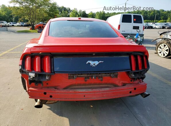 1FA6P8TH6H5282364 2017 FORD MUSTANG Красный Вид сзади