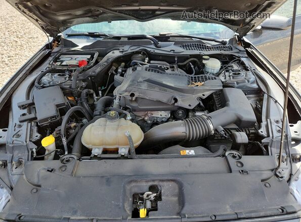 1FA6P8TH6H5333507 2017 FORD MUSTANG Gray Widok wnętrza z tyłu
