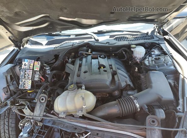 1FA6P8TH6K5202276 2019 FORD MUSTANG Gray Вид задньої частини салону