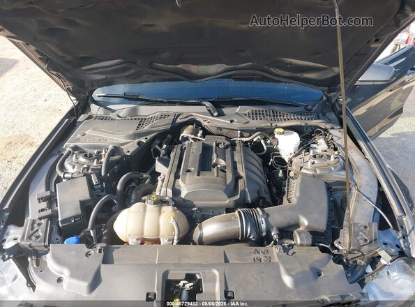 1FA6P8TH6L5129069 2020 FORD MUSTANG Серый Вид сзади