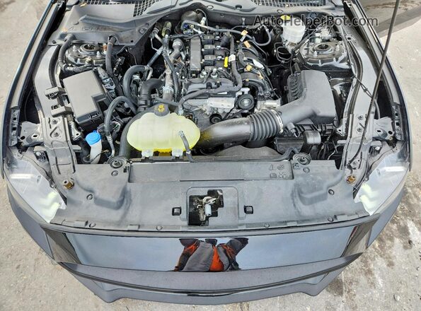 1FA6P8TH6M5152689 2021 FORD MUSTANG Black უკანა სალონის ხედი