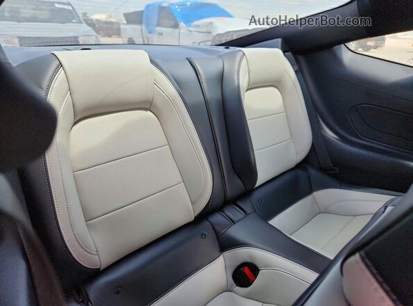 1FA6P8TH6R5110191 2024 FORD MUSTANG Gray Հետևի նստատեղերի տեսք