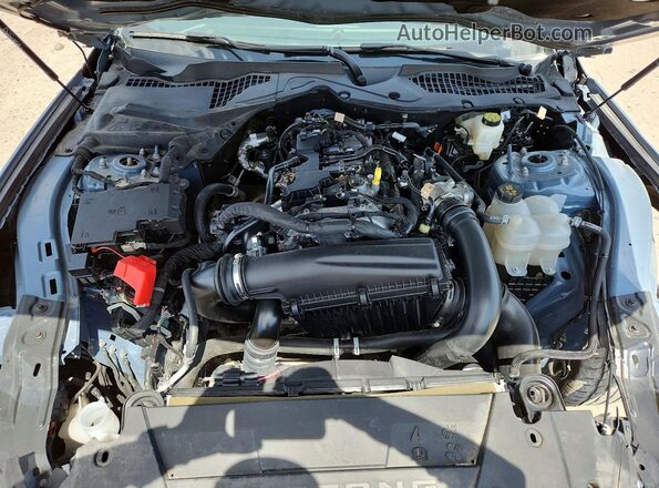 1FA6P8TH6R5110191 2024 FORD MUSTANG Gray Սալոնի հետևի տեսք