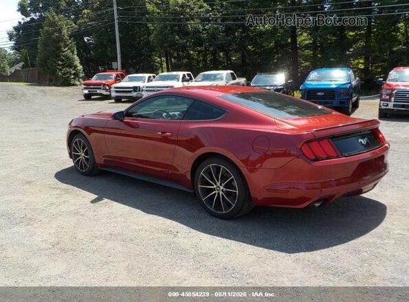 1FA6P8TH7G5265684 2016 FORD MUSTANG Maroon უკანა მარცხენა