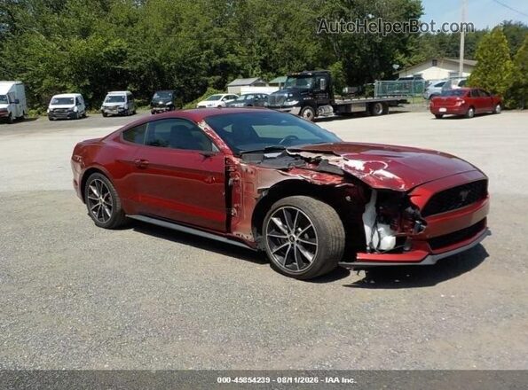 1FA6P8TH7G5265684 2016 FORD MUSTANG Maroon წინა ხედი