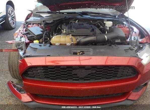 1FA6P8TH7G5265684 2016 FORD MUSTANG Maroon უკანა ხედი