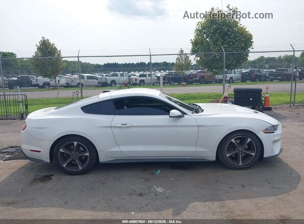 1FA6P8TH7K5133369 2019 FORD MUSTANG Белый Вид задней части салона