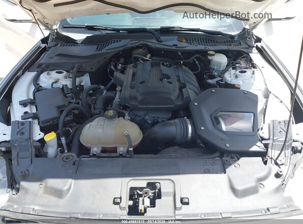 1FA6P8TH7K5186458 2019 FORD MUSTANG White Вид ззаду