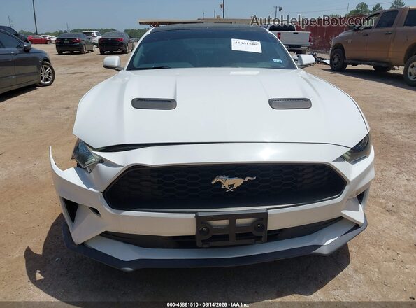 1FA6P8TH7K5186458 2019 FORD MUSTANG White 
