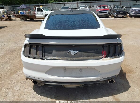 1FA6P8TH7K5186458 2019 FORD MUSTANG White 