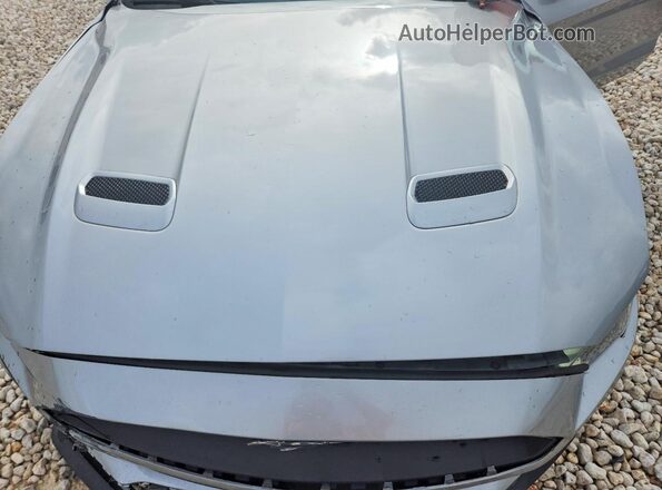 1FA6P8TH7L5120803 2020 FORD MUSTANG Silver Вид задньої частини салону