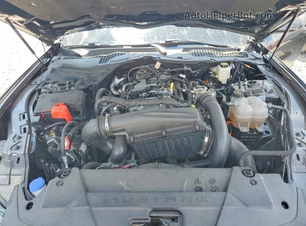 1FA6P8TH7S5103286 2025 FORD MUSTANG Black Вид задньої частини салону